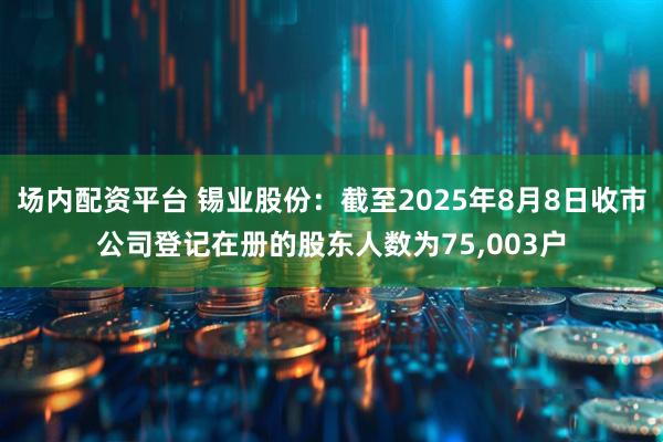 场内配资平台 锡业股份：截至2025年8月8日收市公司登记在册的股东人数为75,003户