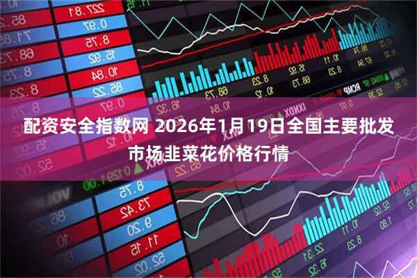 配资安全指数网 2026年1月19日全国主要批发市场韭菜花价格行情