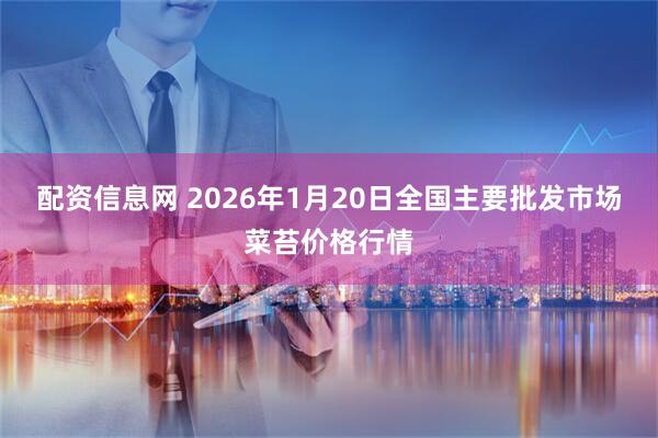 配资信息网 2026年1月20日全国主要批发市场菜苔价格行情